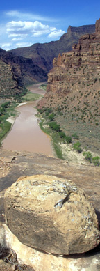 The Green River