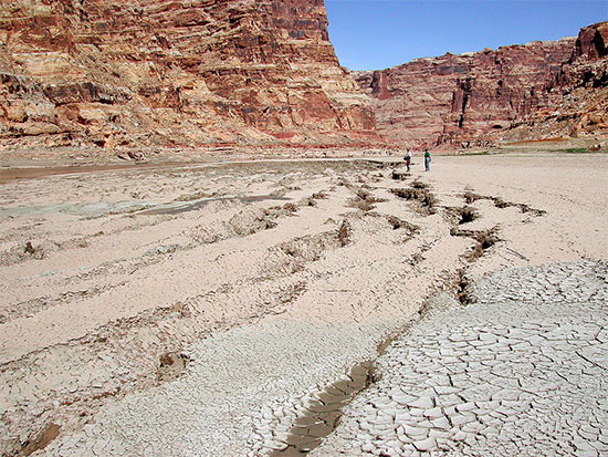 Sediment Deposits at Upper Colorado RIver Arm of Lake Powell Dewatering