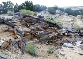 Exploratory pit of kerogen bearing shale